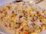 ilustrasi-kuliner-nasi-goreng-telur.jpg