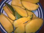 ilustrasi-mangga.jpg