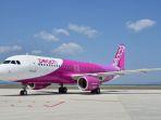 ilustrasi-maskapai-peach-aviation.jpg