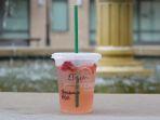 ilustrasi-menu-rahasia-starbucks-kids-friendly.jpg