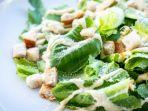 ilustrasi-menu-vegetarian-salad.jpg