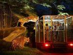 ilustrasi-night-safari-atau-safari-malam-di-taman-safari-bogor.jpg