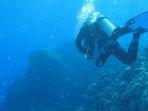 ilustrasi-pelancong-yang-lagi-scuba-diving-di-laut-lepas.jpg