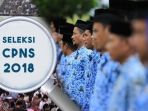 ilustrasi-penerimaan-cpns_20180925_195332.jpg