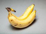 ilustrasi-pisang.jpg
