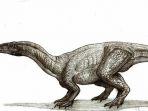 ilustrasi-pola-gambar-thecodontosaurus.jpg