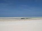ilustrasi-pulau-pasir.jpg
