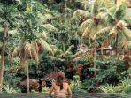 ilustrasi-resor-mewah-di-ubud-bali-untuk-libur-nataru.jpg
