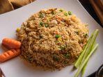 ilustrasi-satu-porsi-nasi-goreng.jpg