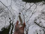 ilustrasi-seseorang-yang-menemukan-pesan-dalam-botol.jpg
