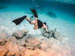 ilustrasi-snorkeling-di-bali.jpg