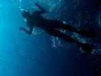ilustrasi-snorkeling-di-pantai.jpg