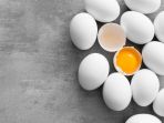 ilustrasi-telur_20171107_090512.jpg