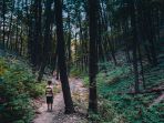 ilustrasi-tersesat-di-hutan_20180702_085001.jpg