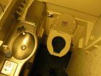 ilustrasi-toilet-di-pesawat.jpg