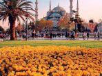 ilustrasi-traveler-melihat-tulip-di-turki.jpg
