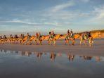 ilustrasi-unta-di-cable-beach.jpg
