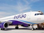 indigo_20180620_155940.jpg