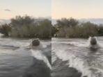 inilah-momen-mengerikan-kuda-nil-yang-marah-mengejar-speedboat-turis.jpg
