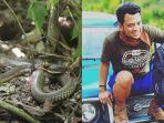 instagram-panjipetualang_real-ular-king-kobra-panji-sang-petualang.jpg