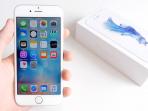 iphone-6s_20161205_171618.jpg