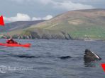 irish-adventures_20170501_161536.jpg