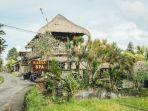Itinerary 1 Day Trip Ubud, Start dari Denpasar Siapkan Budget Rp 600 Ribuan