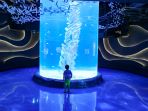 jakarta-aquarium-neo-soho_20171110_104305.jpg