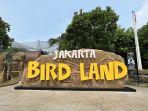 jakarta-bird-land-ancol-jakarta.jpg