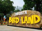jakarta-bird-land-ancol.jpg