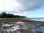 jalan-amerika-di-morotai.jpg