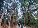 jalan-setapak-diapit-hutan-rindang-di-hutan-kota-ui.jpg
