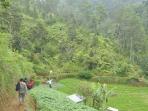 jalur-pendakian-gunung-prau-via-dusun-wates-kecamatan-kalijajar-kabupaten-temanggung-jawa-tengah_20160810_195301.jpg