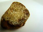 jamur-truffle-putih.jpg