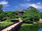 jeju-island_20161119_193330.jpg