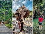 jelajah-wisata-alam-tangkahan.jpg