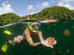 jellyfish-lake-rock-islands-palau_20170802_154636.jpg