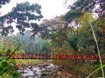 jembatan-cinta-di-kebun-raya-bogor.jpg