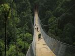 jembatan-gantung-di-taman-nasional-gunung-gede-pangrango_20180324_083724.jpg
