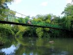jembatan-gantung-karanggayam_20170512_075401.jpg