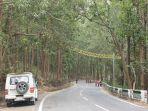 jembatan-khusus-hewan-di-india.jpg