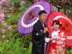 jepang_20161204_163217.jpg