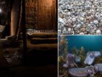 Deretan Foto Satwa Liar Terbaik di Dunia, Tiap Jepretan Ada Cerita Menakjubkan Sekaligus Miris!