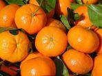 jeruk-mandarin-1.jpg