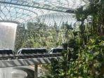 jewel-changi-airport.jpg