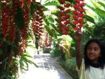 juada-garden_20170613_085404.jpg
