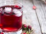 jus-cranberry.jpg