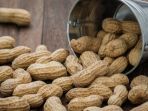 kacang-kulit_20180113_155027.jpg