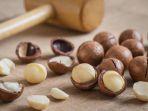 kacang-macadamia.jpg