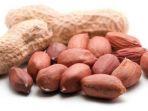 kacang-tanah.jpg